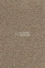 Ковролин AW Stainguard Harvest 34 фото 1 | FLOORDEALER